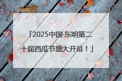 2025中国·东明第二十届西瓜节盛大开幕！