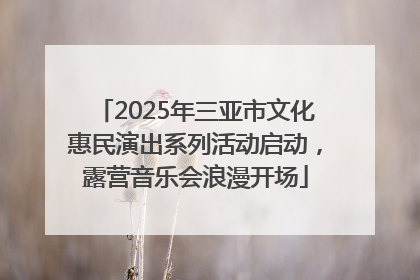 2025年三亚市文化惠民演出系列活动启动，露营音乐会浪漫开场