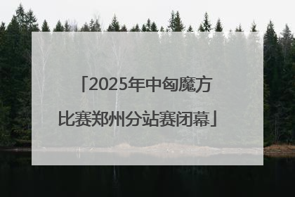 2025年中匈魔方比赛郑州分站赛闭幕