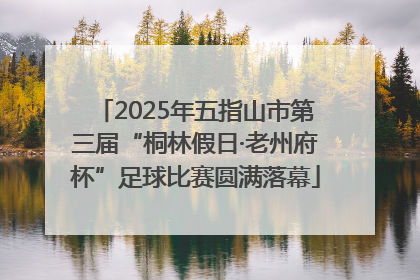2025年五指山市第三届“桐林假日·老州府杯”足球比赛圆满落幕