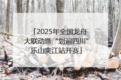 2025年全国龙舟大联动暨“划遍四川”乐山夹江站开赛