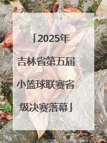 2025年吉林省第五届小篮球联赛省级决赛落幕