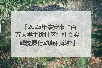 2025年泰安市“百万大学生进社区”社会实践提质行动顺利举办