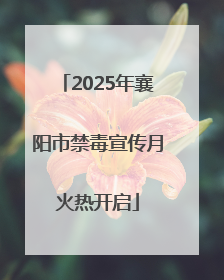 2025年襄阳市禁毒宣传月火热开启