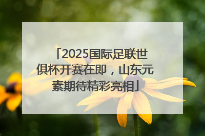 2025国际足联世俱杯开赛在即，山东元素期待精彩亮相