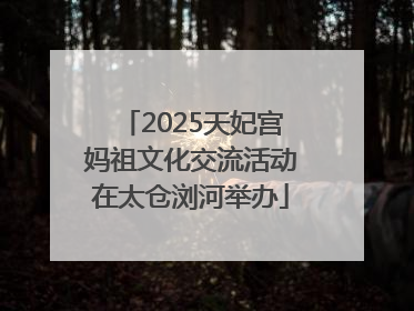 2025天妃宫妈祖文化交流活动在太仓浏河举办