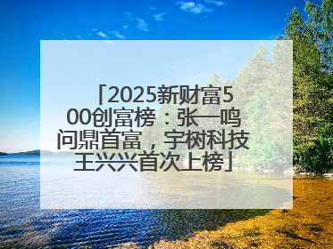2025新财富500创富榜：张一鸣问鼎首富，宇树科技王兴兴首次上榜