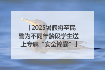 2025暑假将至民警为不同年龄段学生送上专属“安全锦囊”