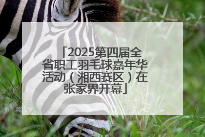 2025第四届全省职工羽毛球嘉年华活动（湘西赛区）在张家界开幕