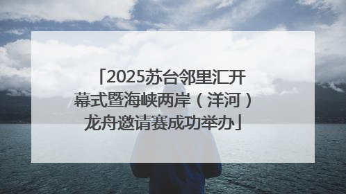 2025苏台邻里汇开幕式暨海峡两岸（洋河）龙舟邀请赛成功举办