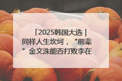 2025韩国大选｜同样人生坎坷，“前辈”金文洙能否打败李在明“逆风翻盘”？