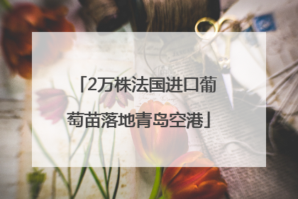 2万株法国进口葡萄苗落地青岛空港
