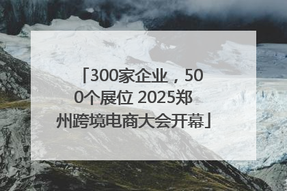 300家企业，500个展位 2025郑州跨境电商大会开幕