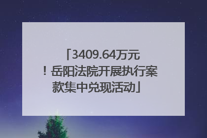 3409.64万元！岳阳法院开展执行案款集中兑现活动