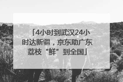 4小时到武汉24小时达新疆，京东助广东荔枝“鲜”到全国