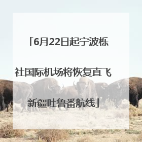 6月22日起宁波栎社国际机场将恢复直飞新疆吐鲁番航线