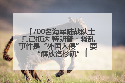700名海军陆战队士兵已抵达 特朗普：骚乱事件是“外国入侵”，要“解放洛杉矶”