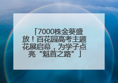 7000株金葵盛放！百花园高考主题花展启幕，为学子点亮“魁首之路”