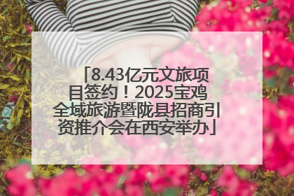 8.43亿元文旅项目签约！2025宝鸡全域旅游暨陇县招商引资推介会在西安举办