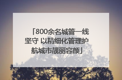 800余名城管一线坚守 以精细化管理护航城市靓丽容颜