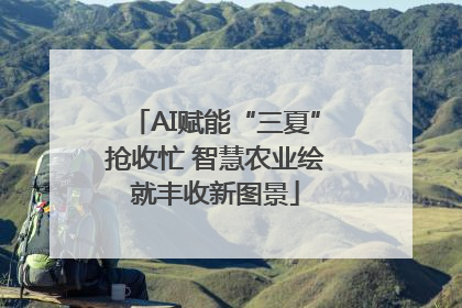 AI赋能“三夏”抢收忙 智慧农业绘就丰收新图景