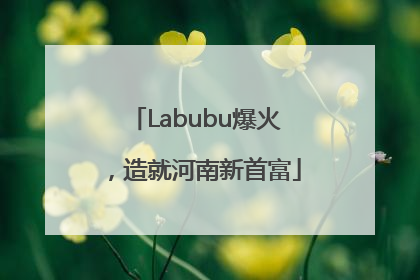 Labubu爆火，造就河南新首富